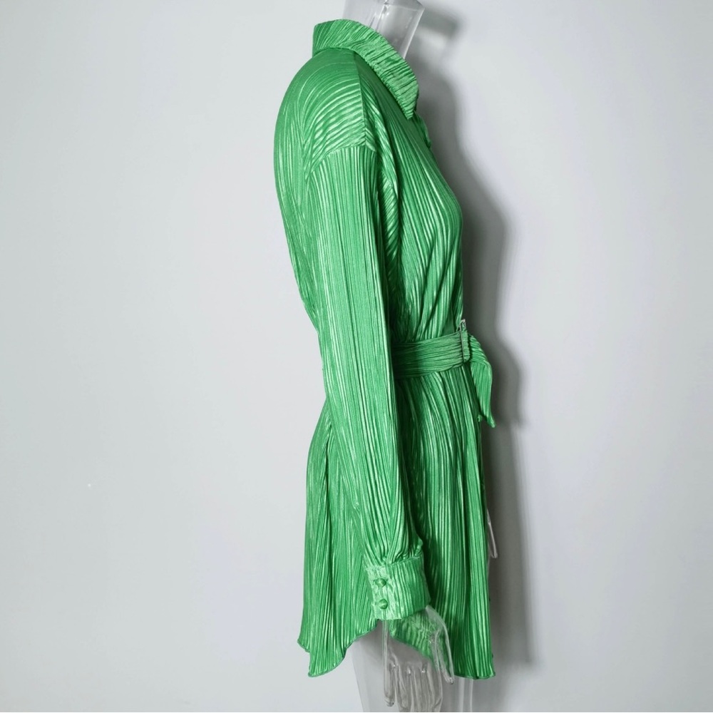 Green Pleated Button Front Dress - Picture 5 of 6